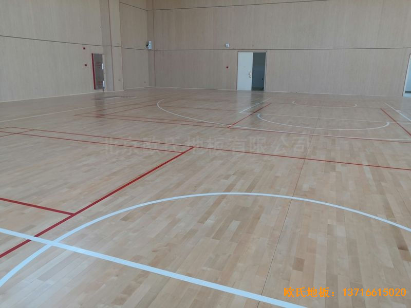 �V����혴���FӢ�ЌW�w���ذ�ʩ������