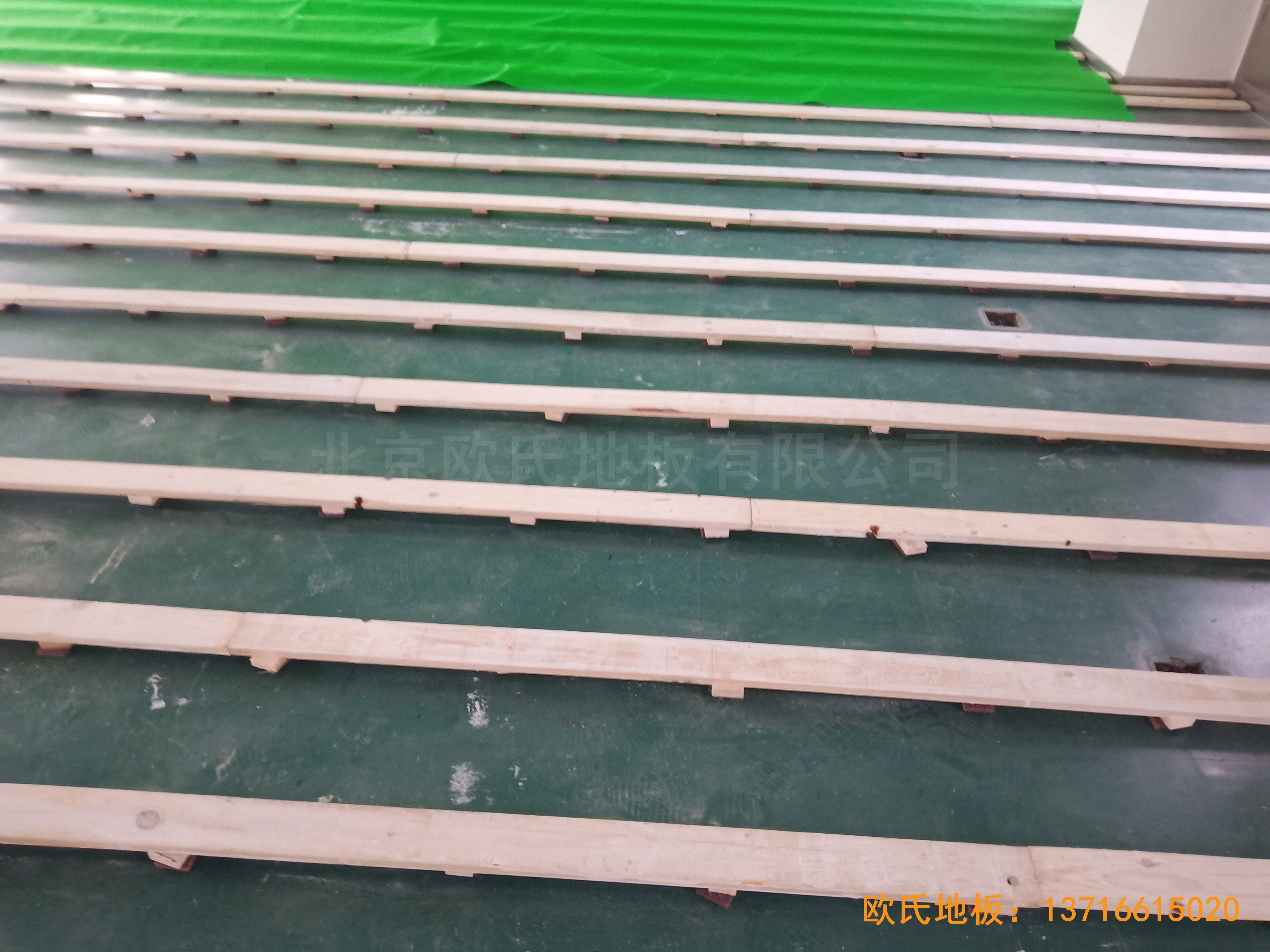 �Ї��ƌWԺ���g�о����\���^�w���ذ���O����2