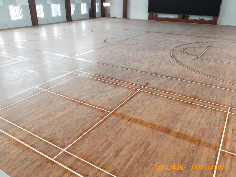 �������Ǹ��л@���^�w��ľ�ذ���O����3