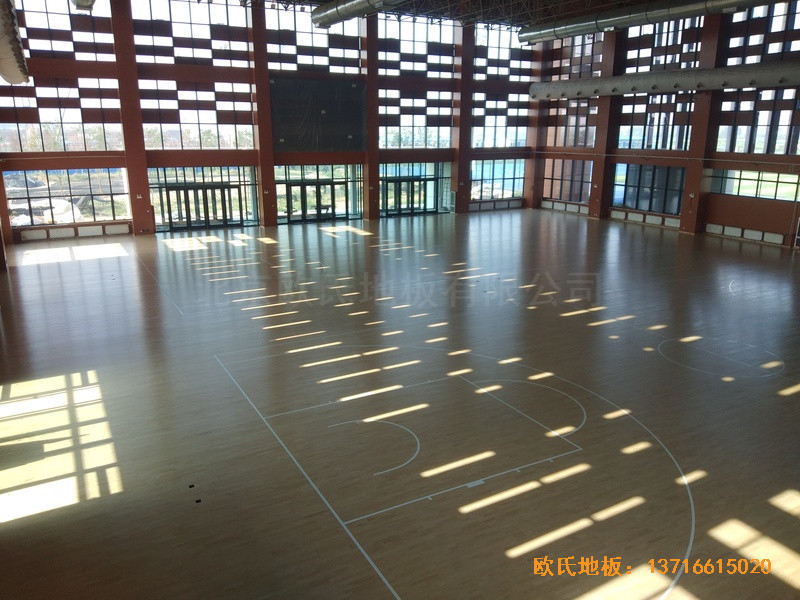 �ӱ����̴�W(xu��)��У�^(q��)�@���^�w��ľ�ذ���O(sh��)����5