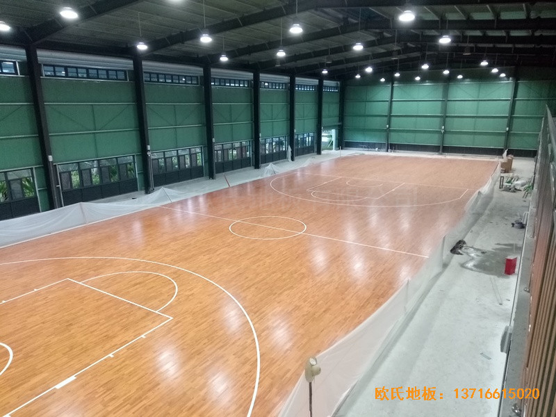 ��������619�ĿӖ���^�\�ӵذ���O����5