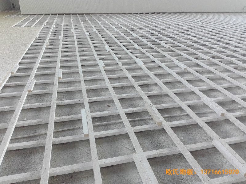 ������ꖵ�ʮ���ЌW�w���^�\��ľ�ذ���b����1