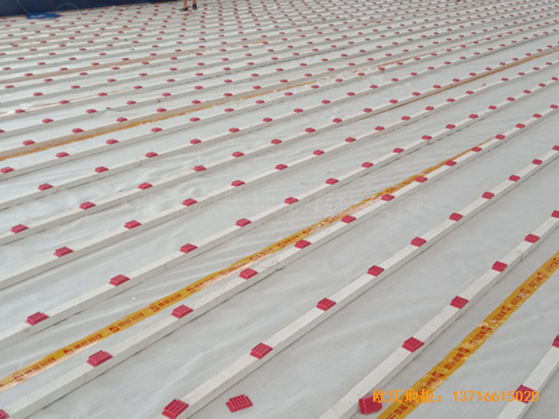 ������x��늾ֻ@���^�w��ľ�ذ尲�b����1