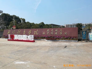 ��h�w���WԺ�\��ľ�ذ�ʩ������