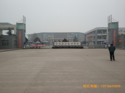 ���u�I���g�WԺ�w���^�\�ӵذ尲�b����