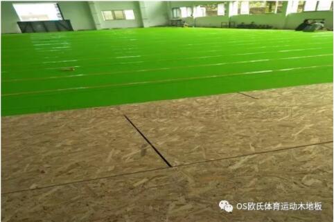 �V�|YBDL���T HOOP PARK�@�򹫈@�ɹ�����