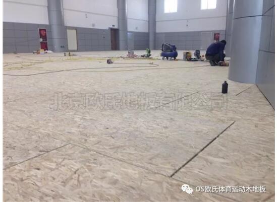 �Ї������y������������������֧�л@���^ľ�ذ尸��