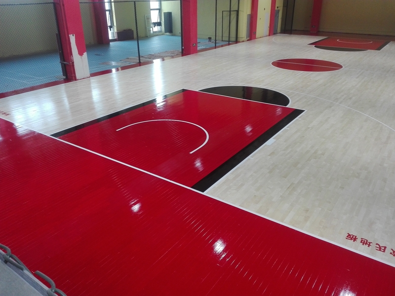 體育場館案例 體育場館案例