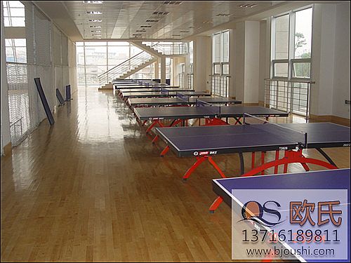 ƹ����ľ�ذ嶼����Щ�Y������