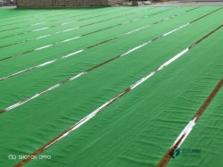 25厚運(yùn)動(dòng)體育地板要多少錢