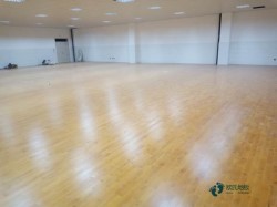 ��W�w���ذ�����˵Ķ����Xһƽ����