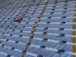 �����w���\��ľ�ذ�Ʒ������Щ