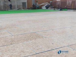 �����w���ذ�һ������X