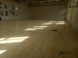 ���b�\(y��n)��(d��ng)ľ�ذ�