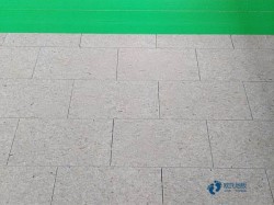 ���û@���w���ذ��Ă�����