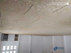 �\��ľ�ذ尲�b�A���߶�