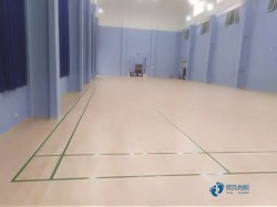 ȫ���w���^����ľ�ذ�S��