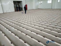 �\�ӈ�ľ�ذ�ʲôƷ�ƺ�