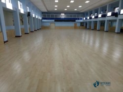 25���\���w���ذ尲�b�M