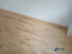 �w���\�ӌ�ľ�ذ�Ʒ������Щ