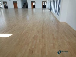 �҃Ȼ@����\��ľ�ذ�ʩ������