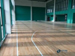 25��@���w���ذ������I����